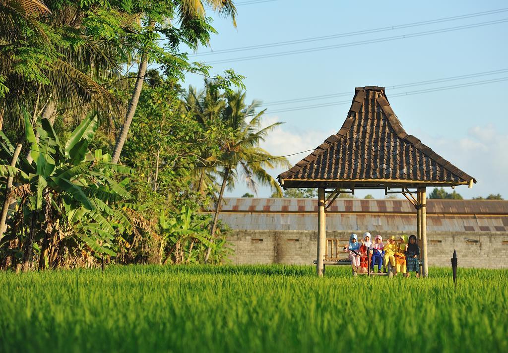 D'Omah Yogya Hotel Yogyakarta Exteriör bild