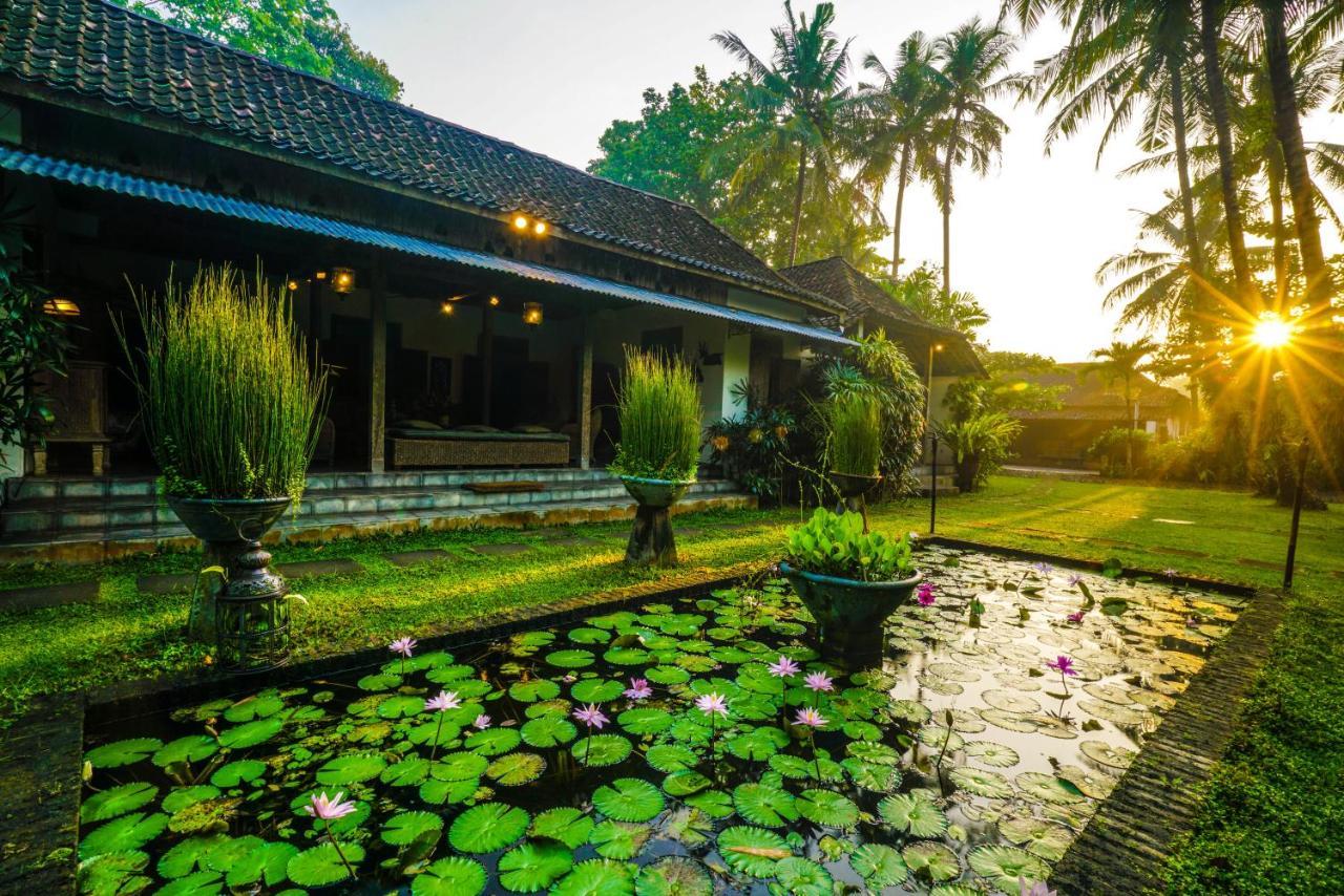 D'Omah Yogya Hotel Yogyakarta Exteriör bild